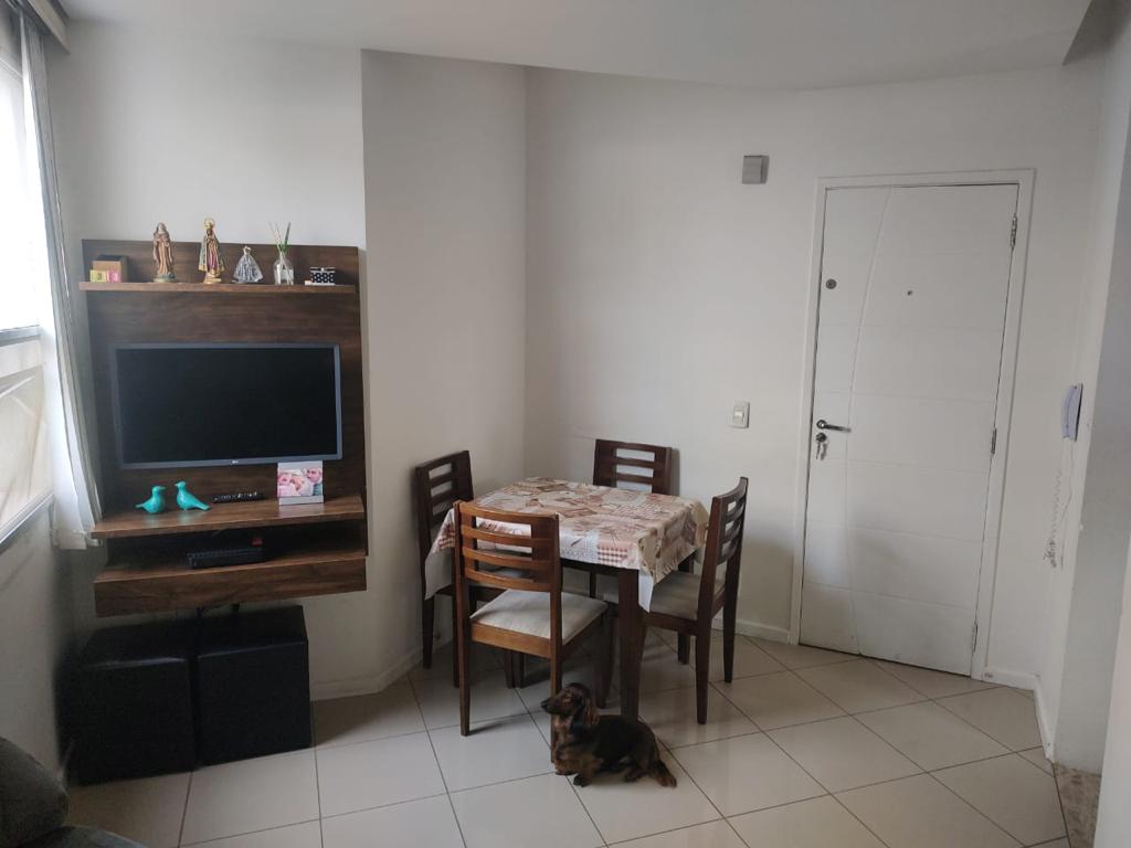 Apartamento à venda com 2 quartos, 43m² - Foto 9