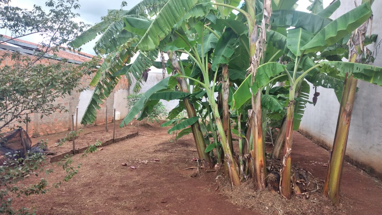 Terreno à venda, 200m² - Foto 1