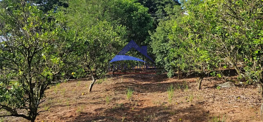 Chácara, 2400 m² - Foto 13