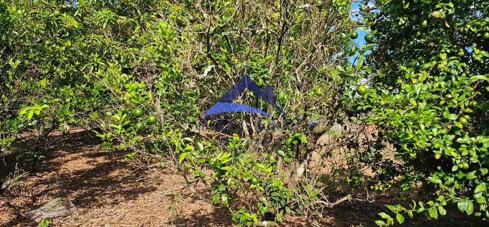 Chácara, 2400 m² - Foto 11