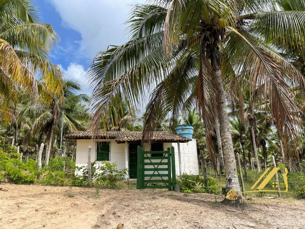 Fazenda à venda com 5 quartos, 700m² - Foto 5