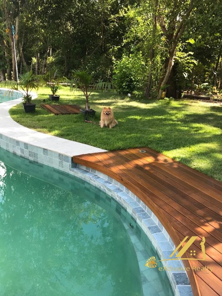 Casa, 6 quartos, 510 m² - Foto 8