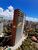 Apartamento, 4 quartos, 285 m² - Foto 2