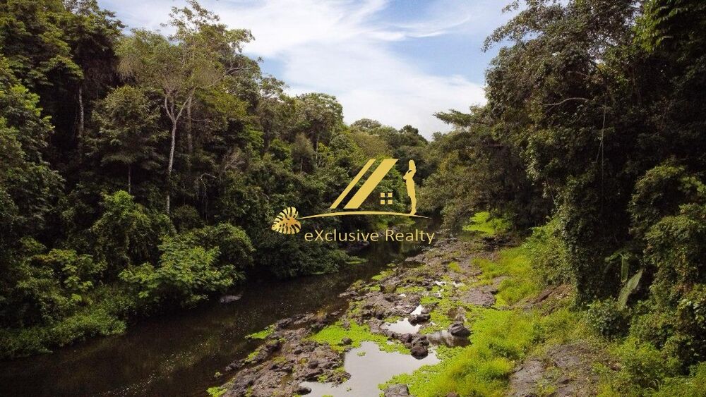 Fazenda, 3 quartos - Foto 2