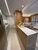 Apartamento, 2 quartos, 57 m² - Foto 4
