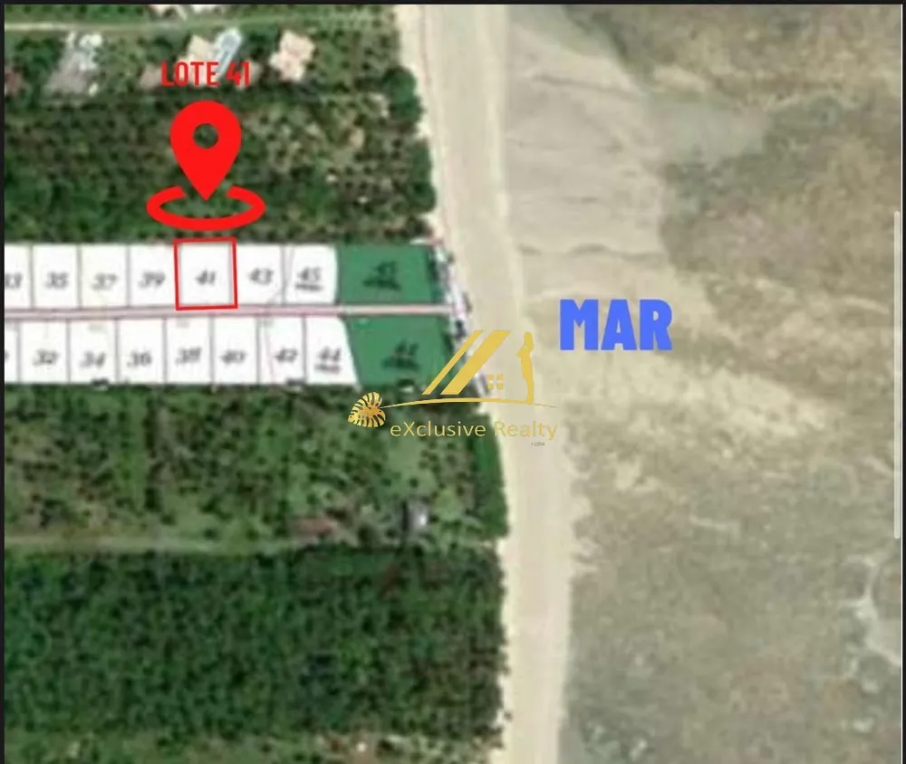 Terreno, 8000 m² - Foto 7