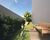 Apartamento, 2 quartos, 32 m² - Foto 4