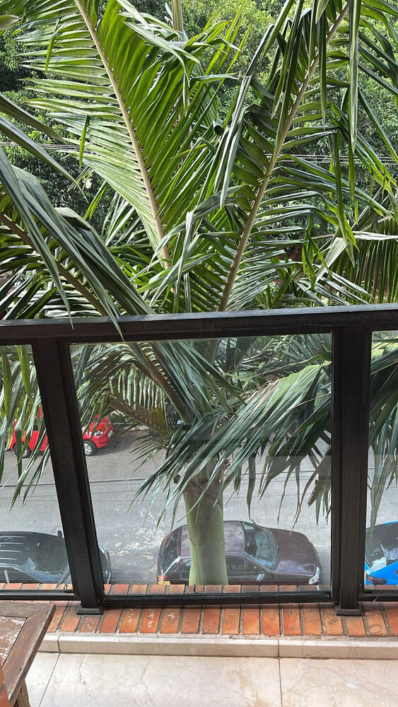 Apartamento à venda com 2 quartos, 137m² - Foto 4