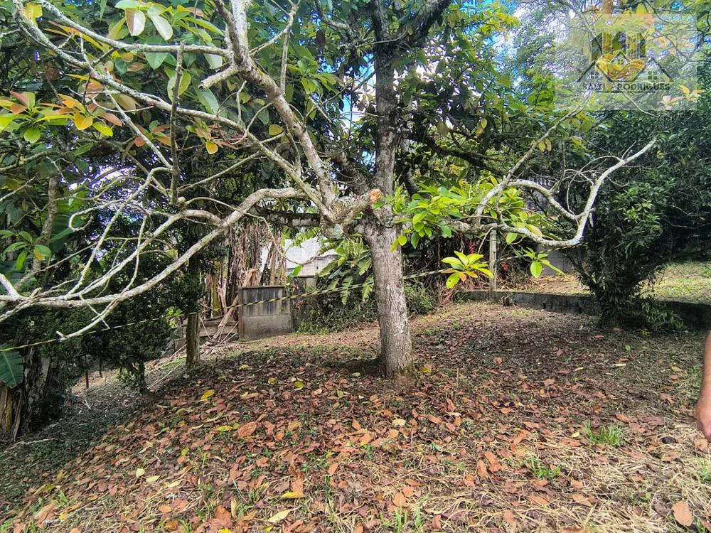 Terreno, 250 m² - Foto 2