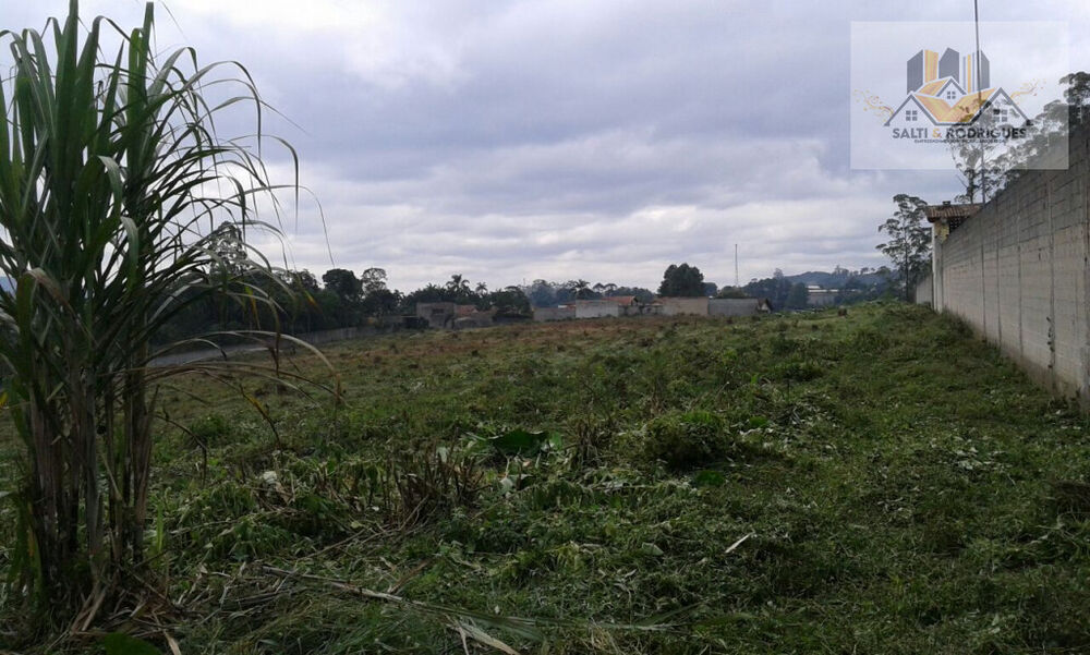 Terreno, 31643 m² - Foto 5