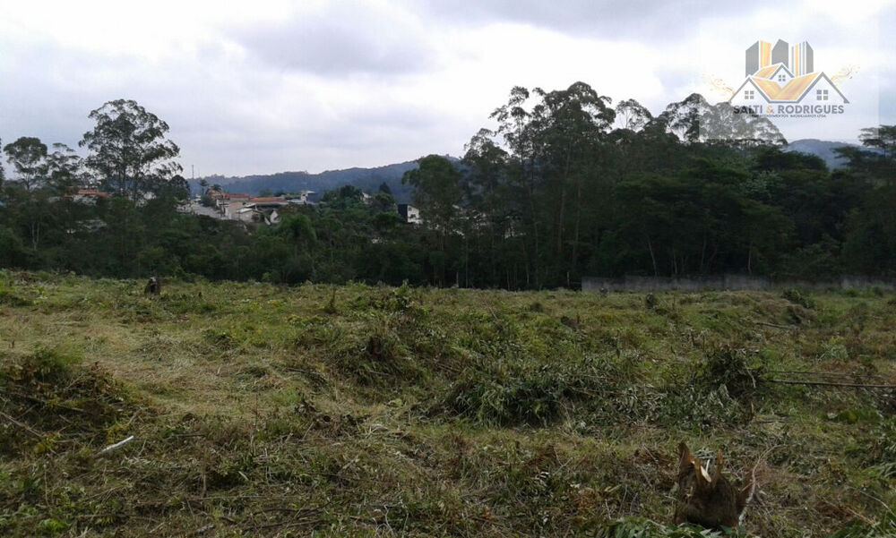 Terreno, 31643 m² - Foto 6