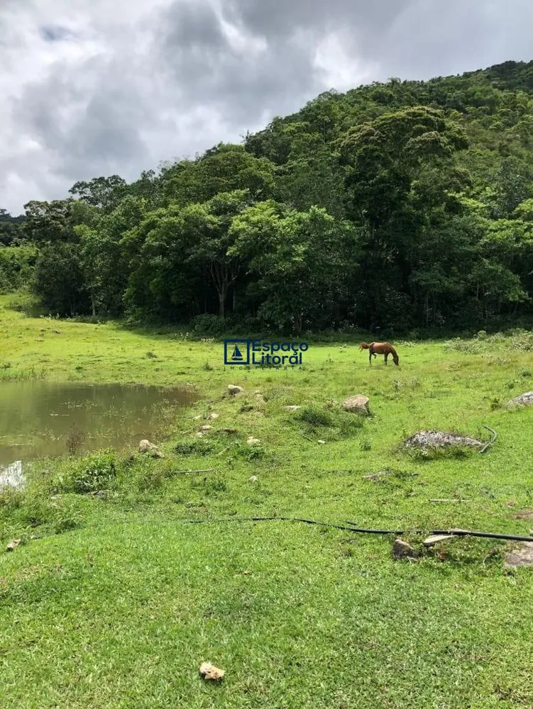 Fazenda, 81 hectares - Foto 7