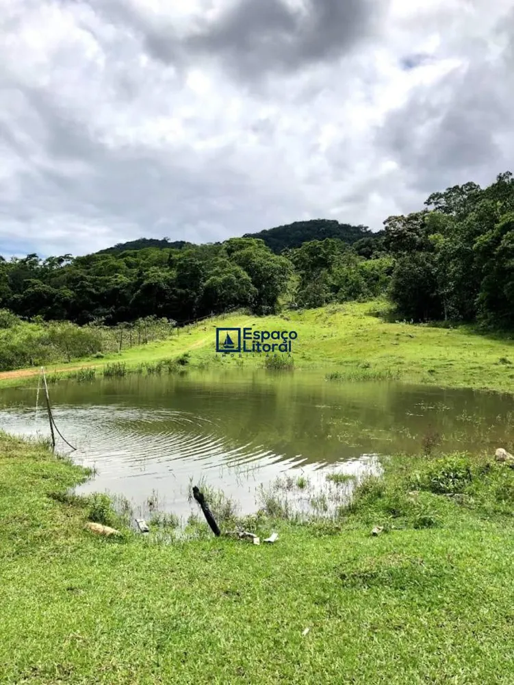 Fazenda, 81 hectares - Foto 4
