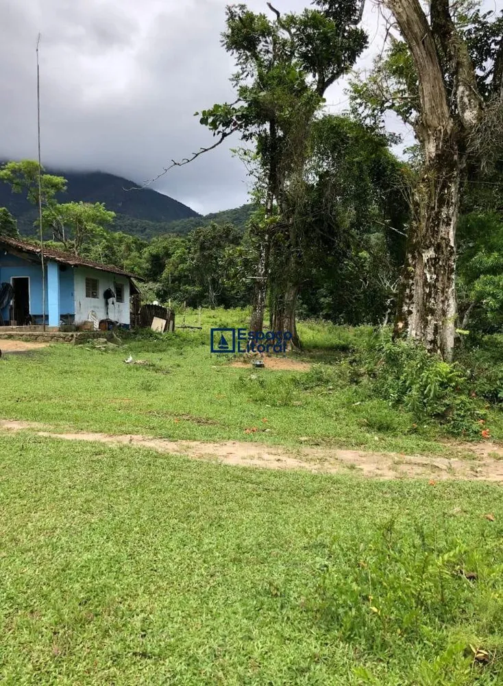Fazenda, 81 hectares - Foto 3