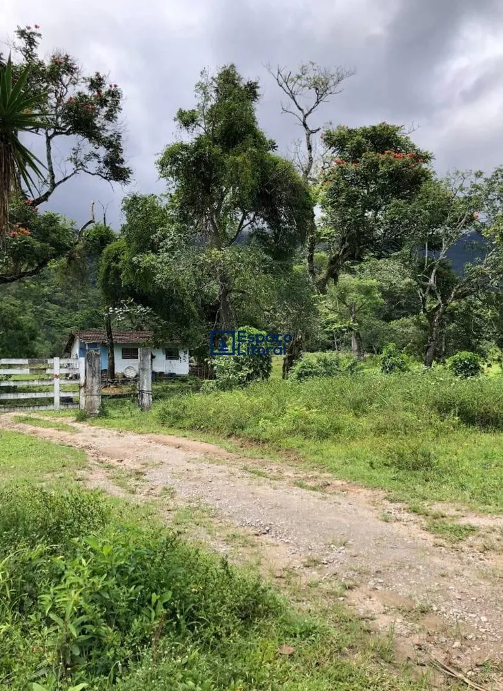 Fazenda, 81 hectares - Foto 2