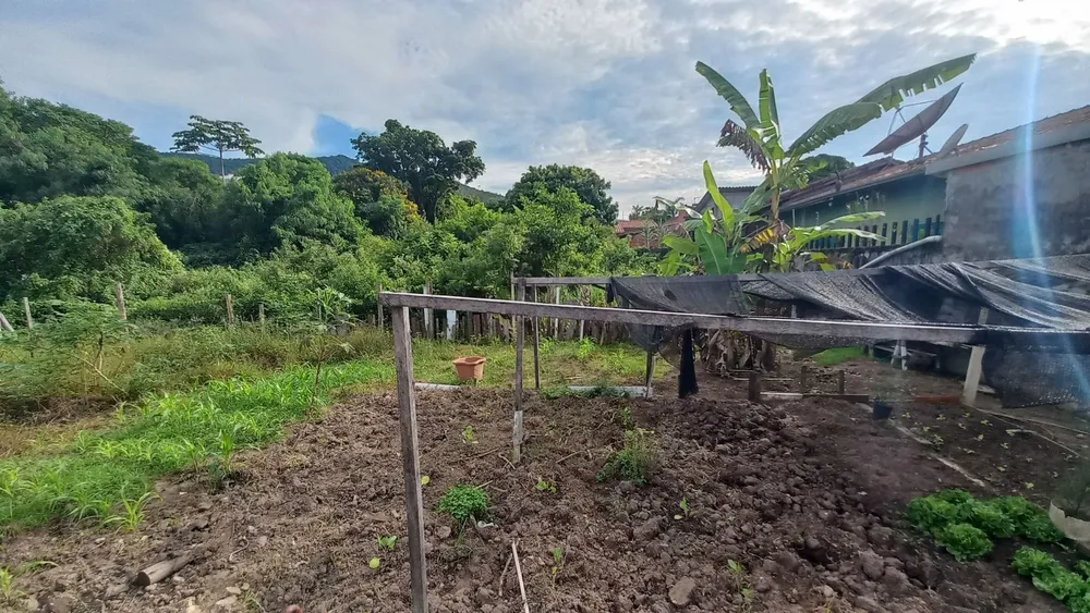 Terreno - Foto 1