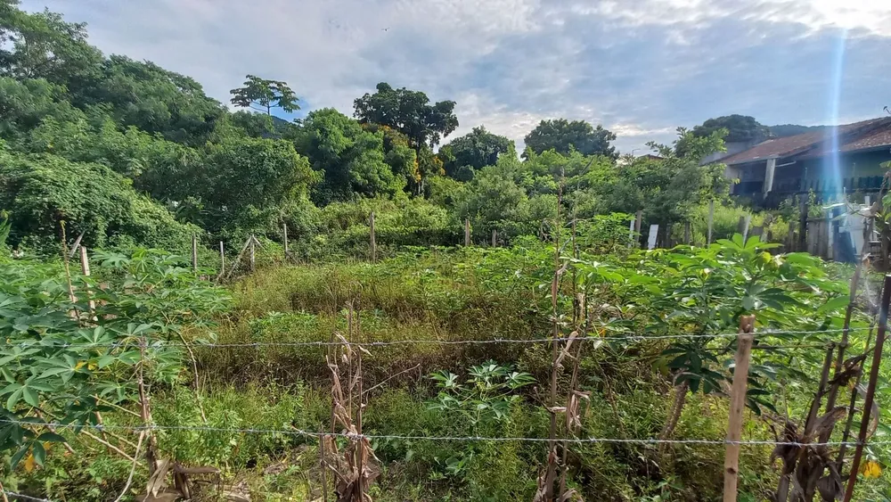 Terreno - Foto 11