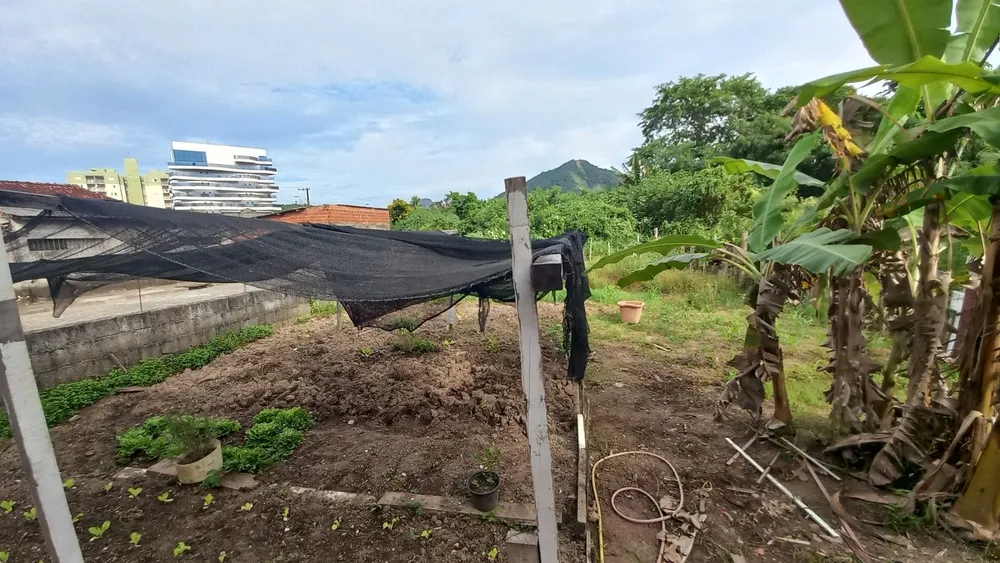 Terreno - Foto 6