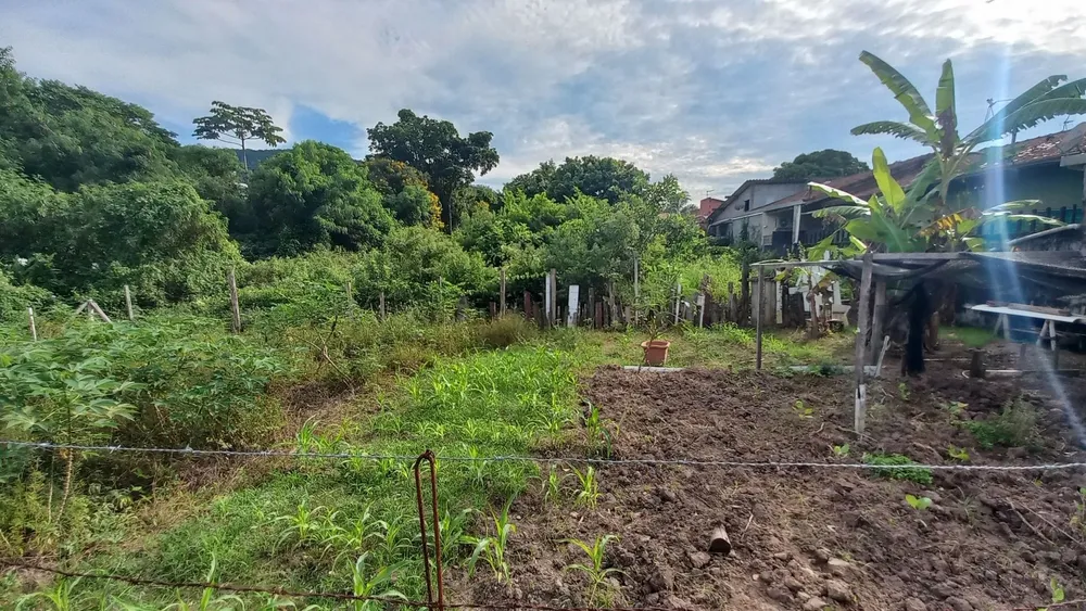 Terreno - Foto 14