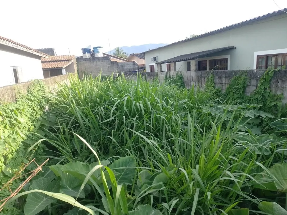 Terreno - Foto 1