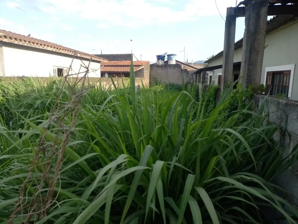 Terreno - Foto 3