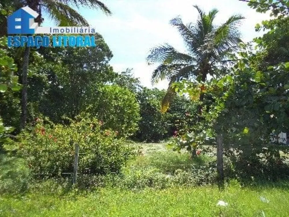 Terreno - Foto 1