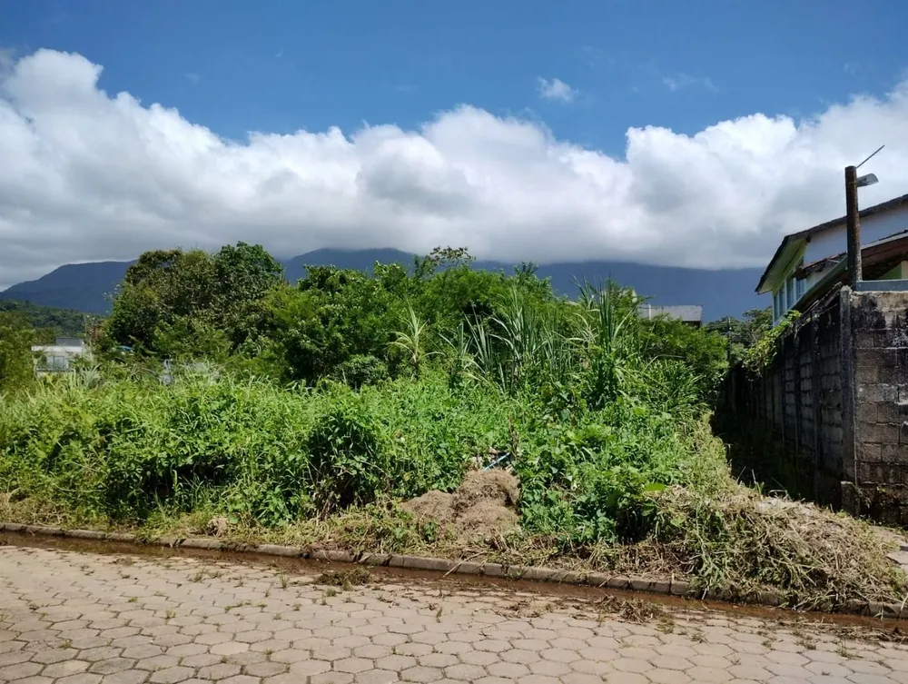 Terreno - Foto 2