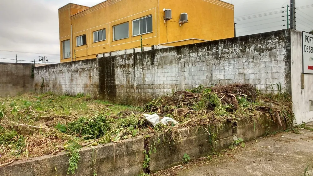 Terreno - Foto 3