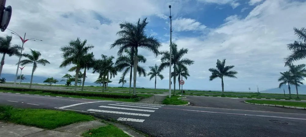 Terreno - Foto 2