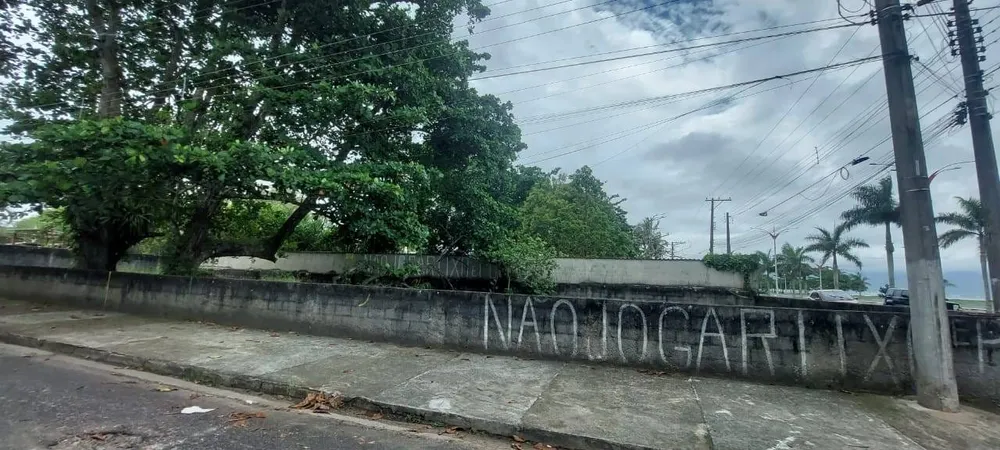 Terreno - Foto 4
