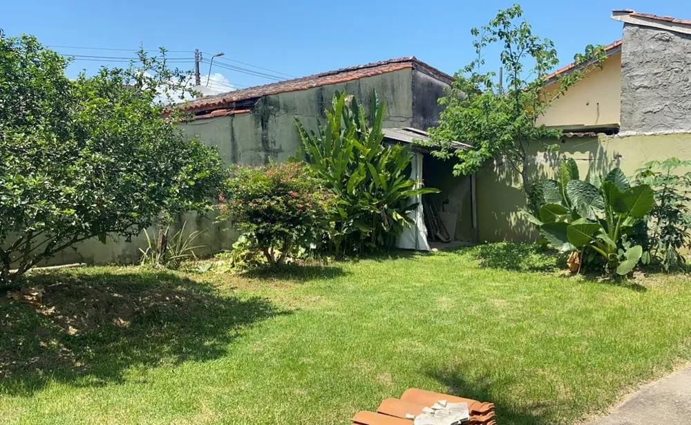 Terreno - Foto 2