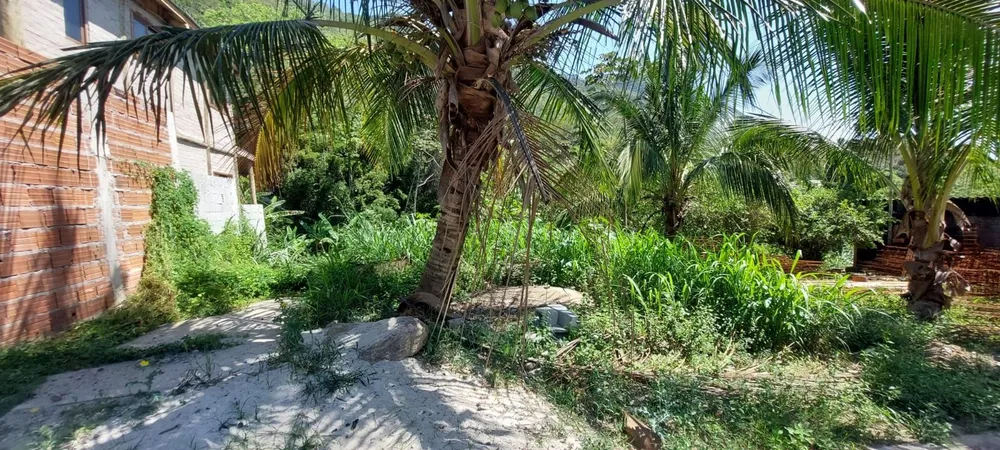 Terreno - Foto 1