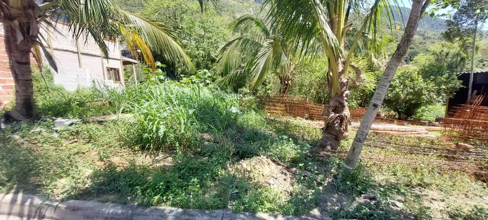 Terreno - Foto 3