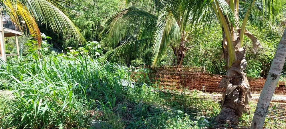 Terreno - Foto 4