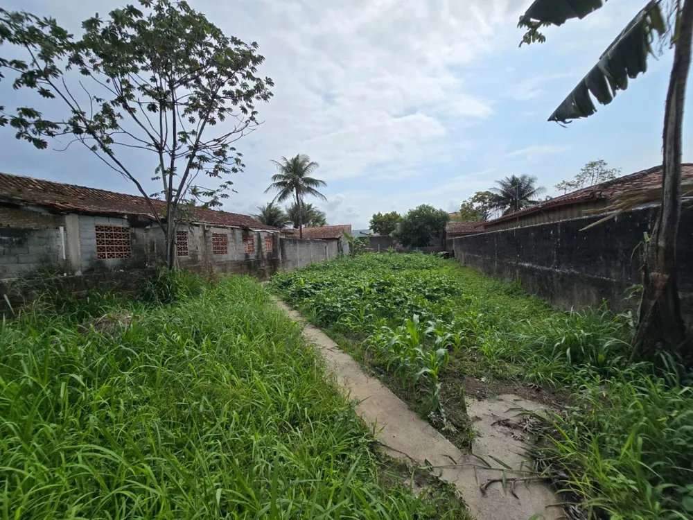 Terreno - Foto 1