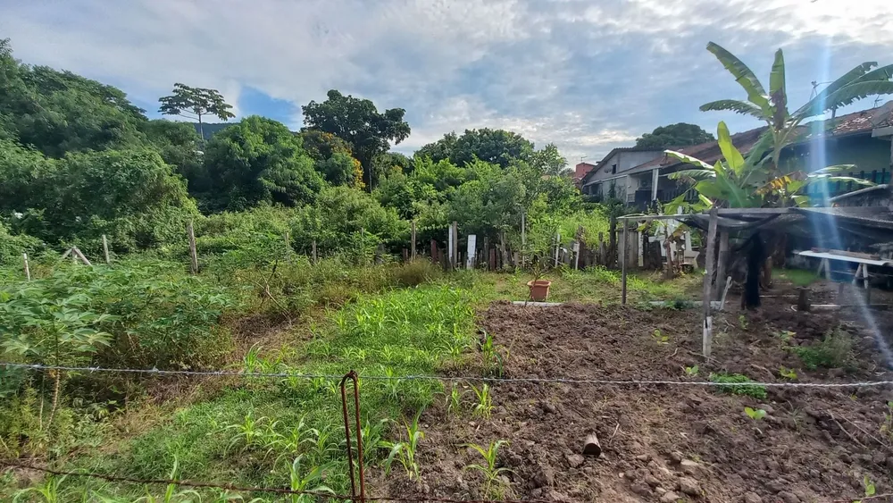 Terreno - Foto 4