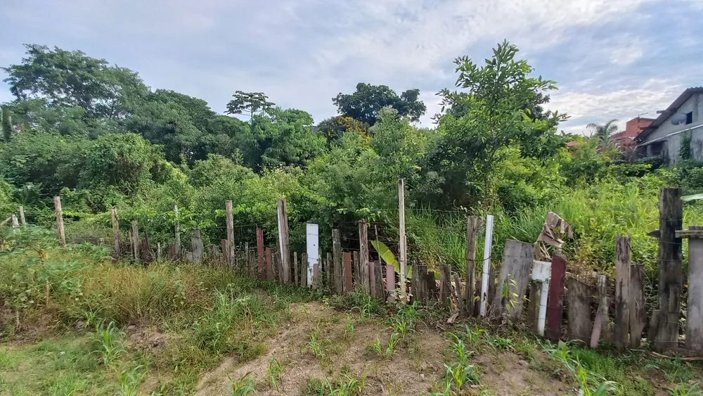 Terreno - Foto 1