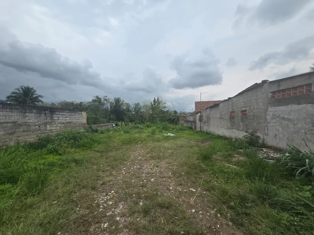 Terreno - Foto 1