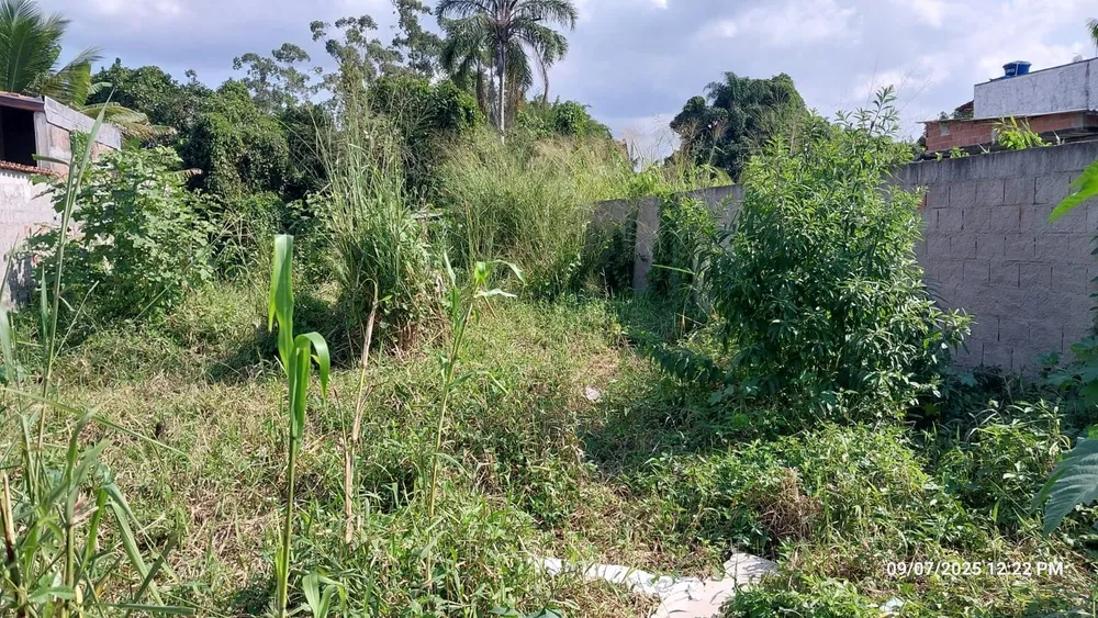 Terreno - Foto 4