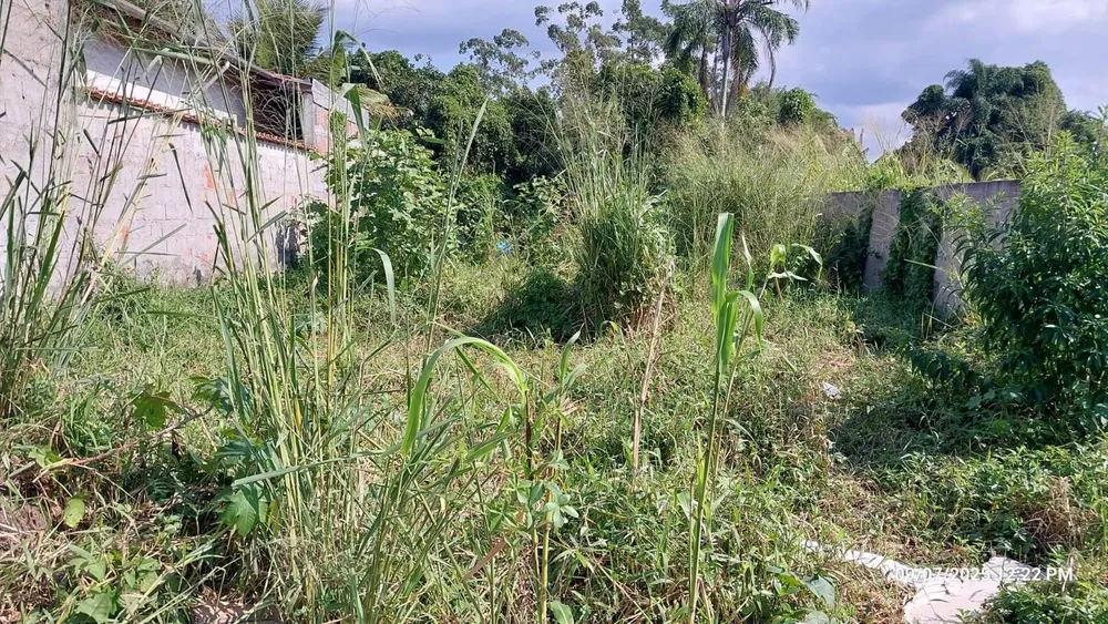Terreno - Foto 7