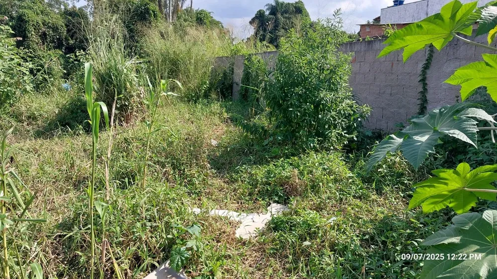 Terreno - Foto 5