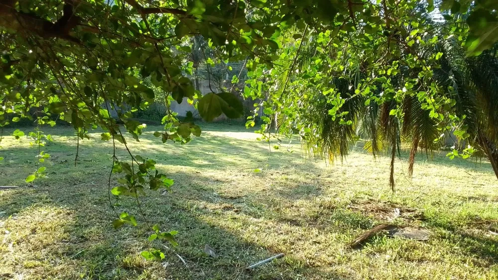 Terreno - Foto 4