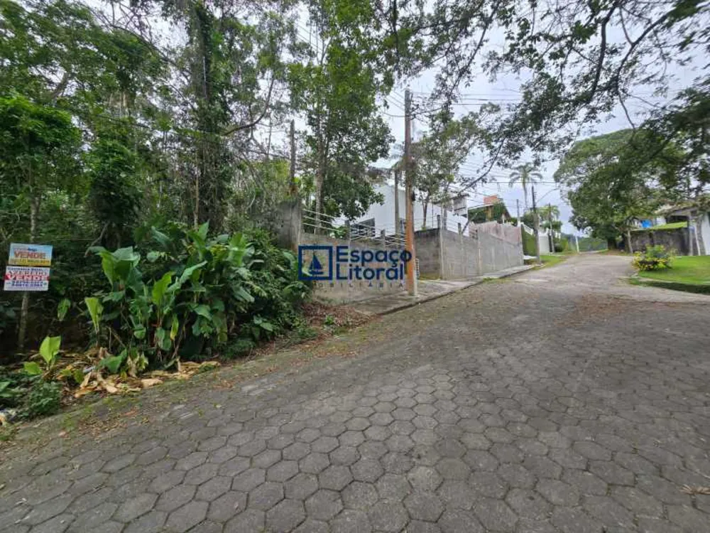 Terreno, 252 m² - Foto 6