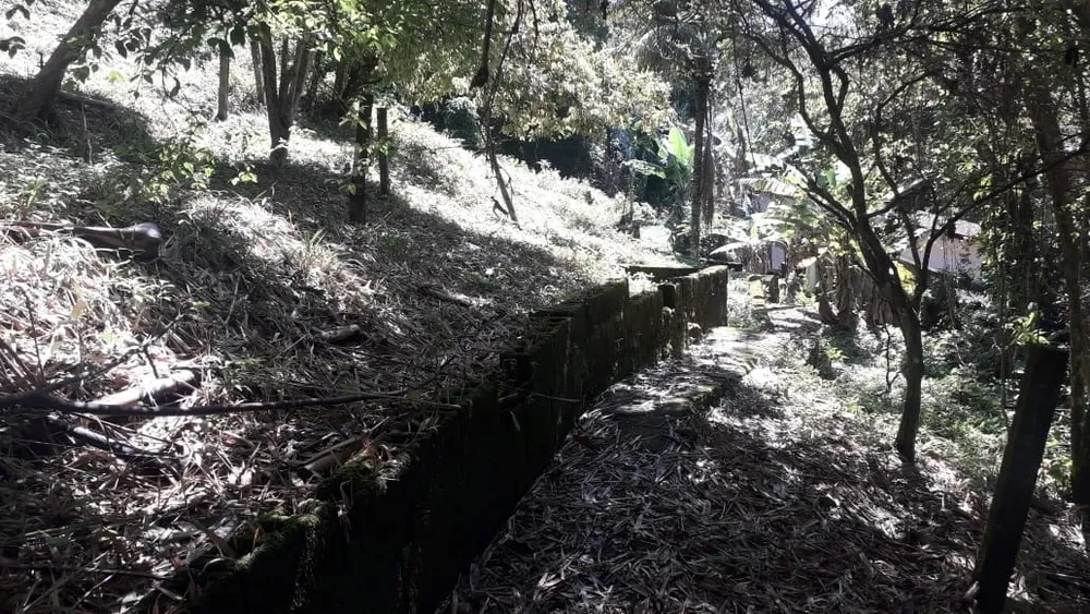 Terreno - Foto 5