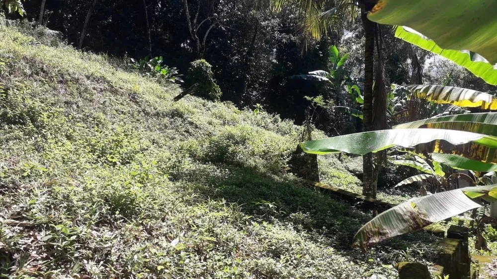 Terreno - Foto 6