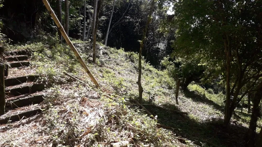 Terreno - Foto 7