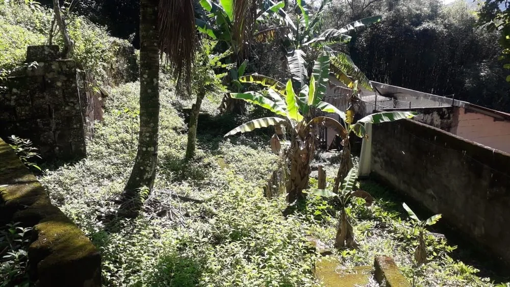 Terreno - Foto 2