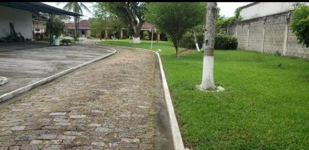 Terreno - Foto 5