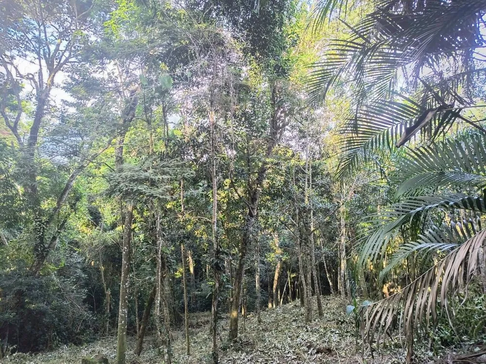 Terreno - Foto 11