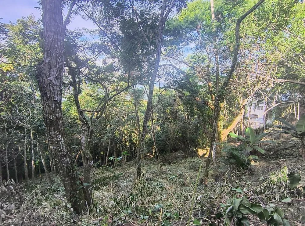Terreno - Foto 2